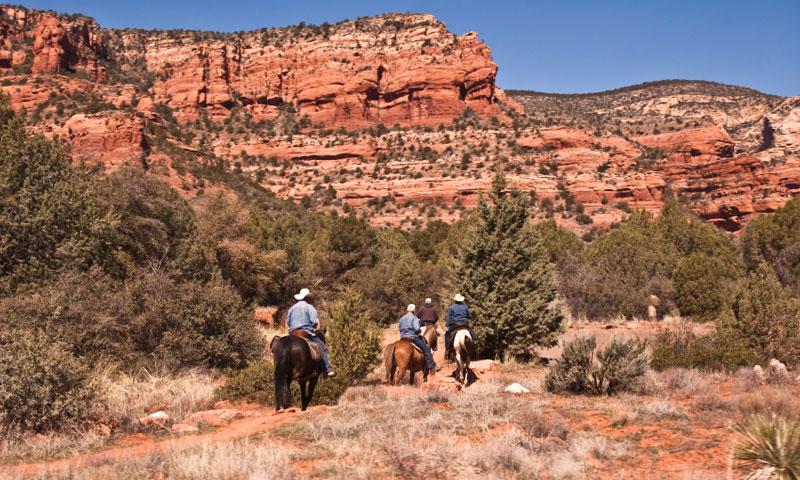 Horse Trekking Grand Canyon