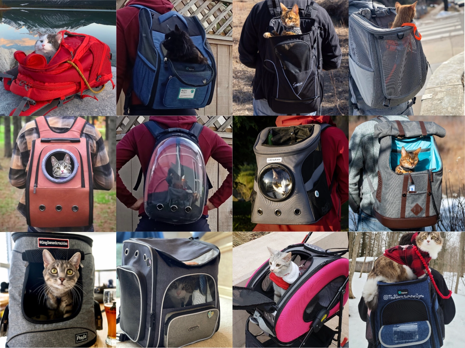 Best Cat Backpack for Hiking