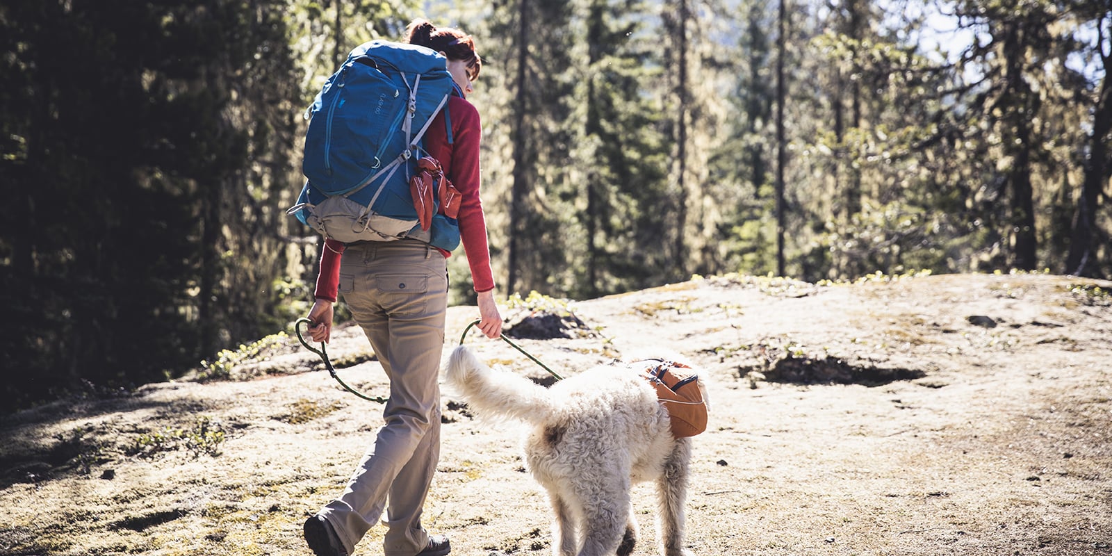 Best Dog Hiking Backpack