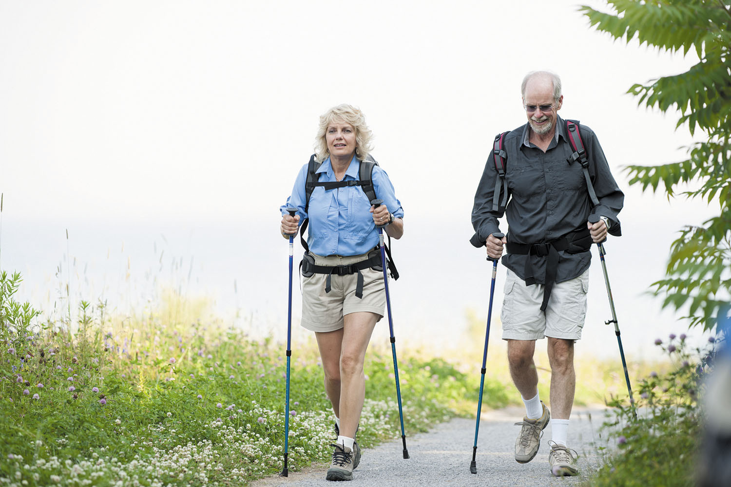 Trekking Poles Advantages