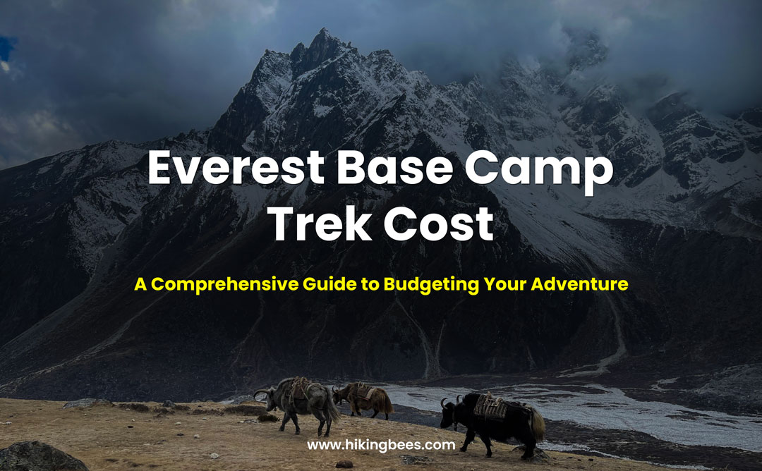 Trekking to Everest Base Camp Cost